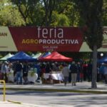 Feria Agroproductiva Primavera 2024: Horario Especial y Productos Orgánicos