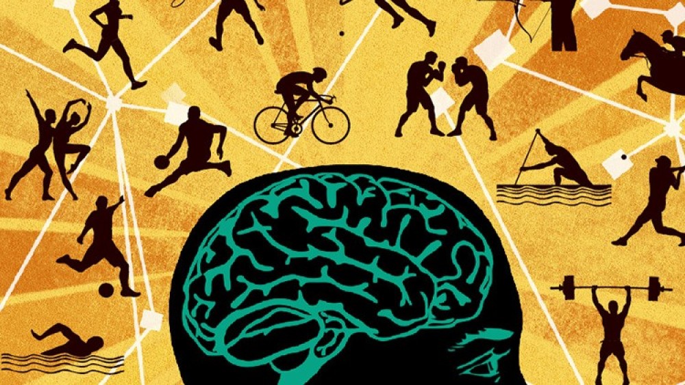 Los aportes de la neurociencia en el deporte